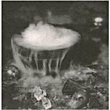 John Zorn&nbsp;-&nbsp;Crucible