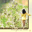 Acorn&nbsp;-&nbsp;Glory hope mountain