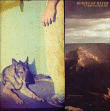 Bodies Of Water&nbsp;-&nbsp;A certain feeling
