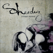 Sheeduz&nbsp;-&nbsp;A frozen moment
