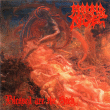 Morbid Angel&nbsp;-&nbsp;Blessed are the sick