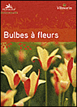 Le guide des bulbes à fleurs de printemps et d'automne&nbsp;-&nbsp;Collectif
