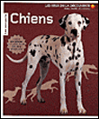 Chiens&nbsp;-&nbsp;David Taylor