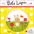 Bébé lapin&nbsp;-&nbsp;Claire Dowe