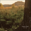 Andrew Bird&nbsp;-&nbsp;Noble beast