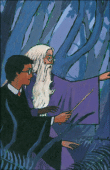 Harry Potter, Edition de luxe T6&nbsp;-&nbsp;J.K. Rowling