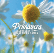 Compilation musique électronique&nbsp;-&nbsp;Primavera