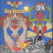 Super Furry Animals&nbsp;-&nbsp;Hey Venus