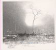 Gallhammer&nbsp;-&nbsp;III Innocence