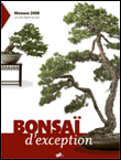 Bonsa� d'exception