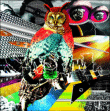Suns Owl