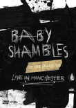 Up the Shambles - Live in Manchester&nbsp;-&nbsp;Babyshambles