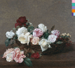 New Order&nbsp;-&nbsp;Power corruption and lies - Edition collector
