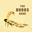 The Budos Band&nbsp;-&nbsp;II