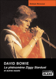 David Bowie, le phénomène Ziggy Stardust&nbsp;-&nbsp;Enrique Seknadje
