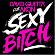 David Guetta&nbsp;-&nbsp;Sexy bitch featuring Akon