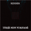 These New Puritans&nbsp;-&nbsp;Hidden