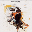 Peter Doherty&nbsp;-&nbsp;Grace - Wastelands - Nouvelle version - DVD bonus