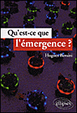 Qu'est-ce que l'émergence ?&nbsp;-&nbsp;Hugues Bersini