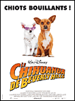 Le Chihuahua de Beverly Hills - Blu-Ray - Edition Spéciale&nbsp;-&nbsp;Raja Gosnell