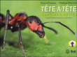 Tête à tête avec les insectes&nbsp;-&nbsp;Claire Villemant, Philippe Blanchot