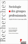 Sociologie des groupes professionnels&nbsp;-&nbsp;Didier Demazière