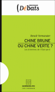 Chine brune ou Chine verte ?