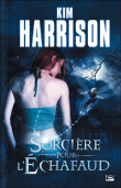 Les aventures de Rachel Morgan - Les aventures de Rachel Morgan, T1