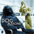 dog almond