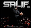 Salif&nbsp;-&nbsp;Curriculum vital