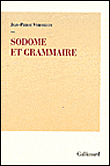 Sodome et grammaire&nbsp;-&nbsp;Jean-Pierre Verheggen