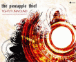 Pineapple Thief&nbsp;-&nbsp;Tightly unwound