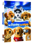 Les Copains des neiges&nbsp;-&nbsp;Robert Vince