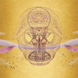 Devendra Banhart&nbsp;-&nbsp;What will we be