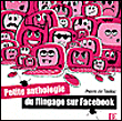 Petite anthologie du flinguage sur Facebook&nbsp;-&nbsp;Pierre de Taillac