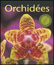 Orchid�es