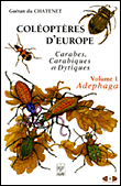 Coléoptères d'Europe, carabes, carabiques et dytiques