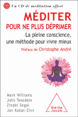 Méditer pour ne plus déprimer
