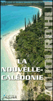 La Nouvelle-Calédonie&nbsp;-&nbsp;Collectif