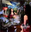 Markize&nbsp;-&nbsp;Transparence