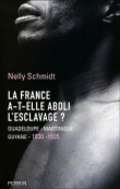 La France a-t-elle aboli l'esclavage ?&nbsp;-&nbsp;Nelly Schmidt