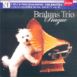 Downes, Herzogenberg, Johannes Brahms&nbsp;-&nbsp;Trios pour violon, cor et piano