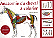 Anatomie du cheval à colorier