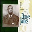 Elmore James&nbsp;-&nbsp;The Sky Is Crying : The History Of Elmore James
