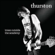 Thurston Moore&nbsp;-&nbsp;Trees outside the academy