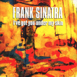 Frank Sinatra&nbsp;-&nbsp;I've got you under my skin