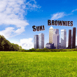 Suki Brownies&nbsp;-&nbsp;Suki Brownies