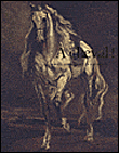 A cheval