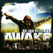 Julian Marley&nbsp;-&nbsp;Awake