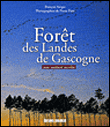 For�t des landes de Gascogne